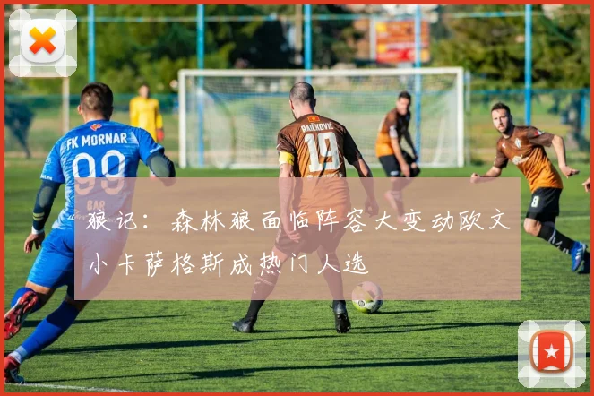 狼记：森林狼面临阵容大变动欧文小卡萨格斯成热门人选